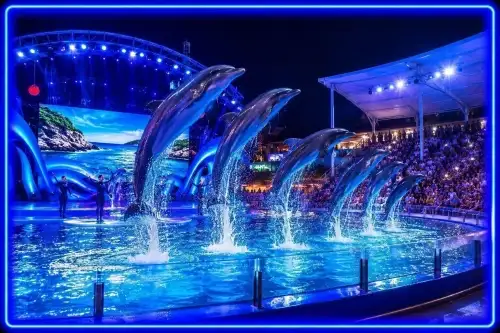 Alanya Dolphin and Sea Lion Show | Both Way Transfer is Included