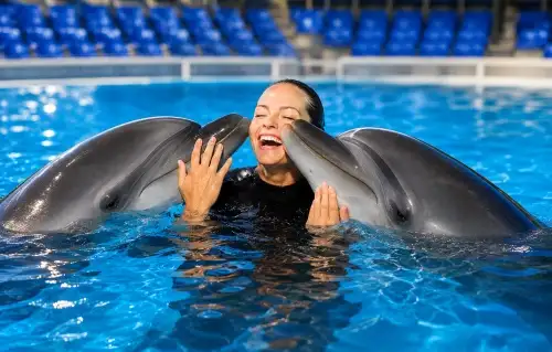 Swimming with Dolphins | Both Way Transfer is Included